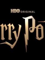 Harry Potter: Damn, they managed to make the series more racist than the&nbsp;book!